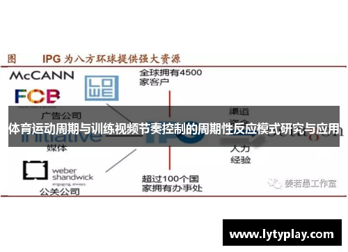 体育运动周期与训练视频节奏控制的周期性反应模式研究与应用